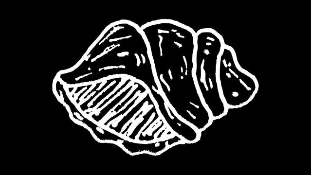 White wiggly hand drawn sea shell doodle icon animation 7