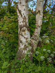 Edinburgh, Scotland, UK