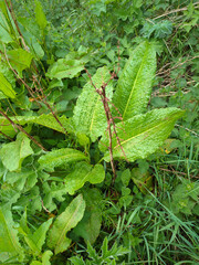 Edinburgh, Scotland, UK