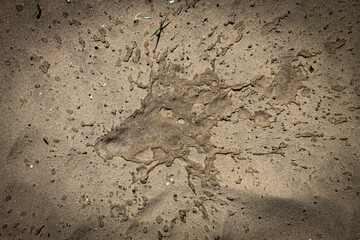 Color horizontal photo of a beach composition, wet sand and wet splashes on a sunny day. Background image, photo texture.
