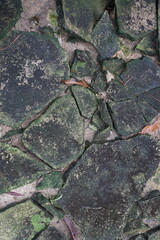 photo of a cracked and mossy stone floor worn down by time.