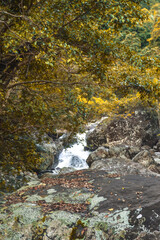Rocky Waterfall with Autumn Vibes in Belihuloya, Sri Lanka