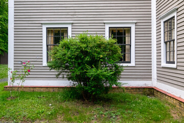 On a tan wooden wall, two double hung windows with black wood frames and multiple glass panes. The...
