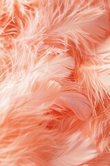 Peach-colored feathers create a soft and vibrant background.
