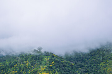 View from Baker's Bend: Clouds Touching Mountain Top, Autumn Vibes, Nonpareil Mountain, Belihuloya, Sri Lanka