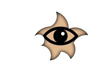 破れた穴から覗く