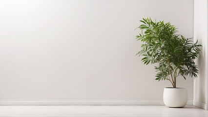 Fototapeta premium A white wall with a potted plant in the corner