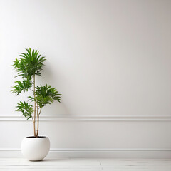 A white plant in a white pot sits in a white room