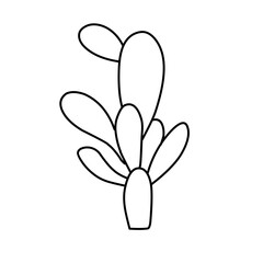 simple cactus outline