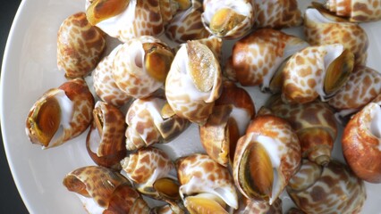 Spotted babylon holds cultural significance and supports coastal economies. When consumed responsibly and sustainably, it adds delicious and nutritious value to seafood cuisine.
