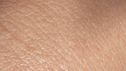 Macro reveals mesmerizing details of skin texture, a captivating journey through ridges and pores,...