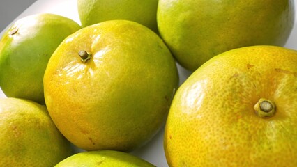 Glistening green Citrus sinensis, or green oranges, feature a lively hue accented by intermittent...