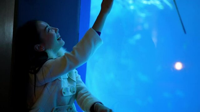 Happy Asian woman enjoy learning sea life in fish tank at Underwater Zoo Aquarium. Attractive girl touching large glass tank with aquatic animals shoal of fish and stingray during travel in Oceanarium