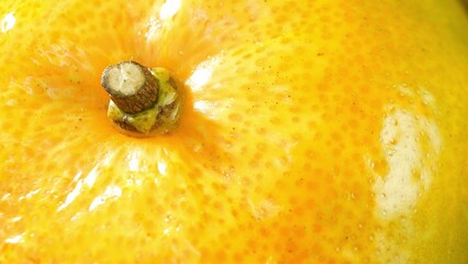 The ripe orange boasts a golden-hued rind, adorned with delicate pores, while its fresh stem...
