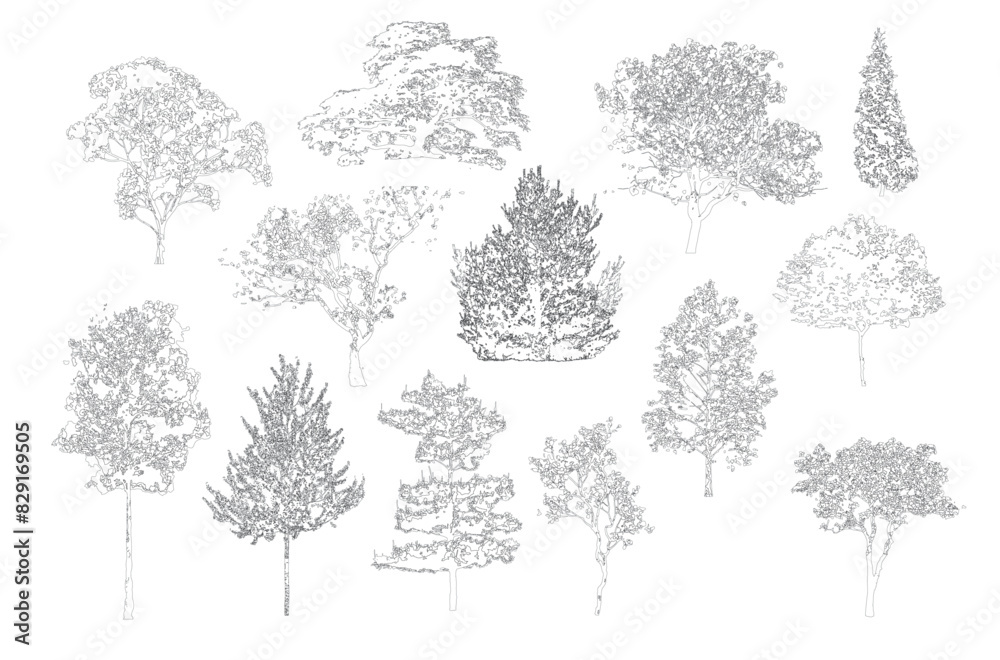 Poster Minimal style cad tree line drawing, Side view, set of graphics trees elements outline symbol for architecture and landscape design drawing. Vector illustration in stroke fill in white. Tropical, stre