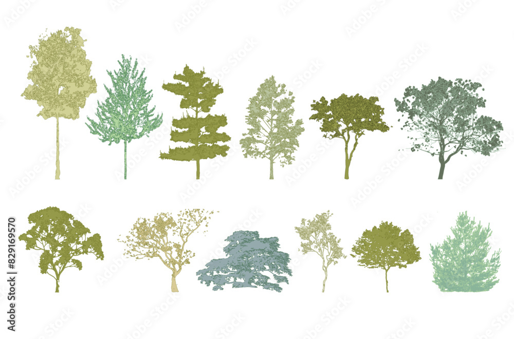 Poster Minimal style cad tree line drawing, Side view, set of graphics trees elements outline symbol for architecture and landscape design drawing. Vector illustration in stroke fill in white. Tropical, stre
