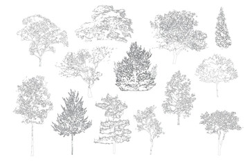 Minimal style cad tree line drawing, Side view, set of graphics trees elements outline symbol for architecture and landscape design drawing. Vector illustration in stroke fill in white. Tropical, stre