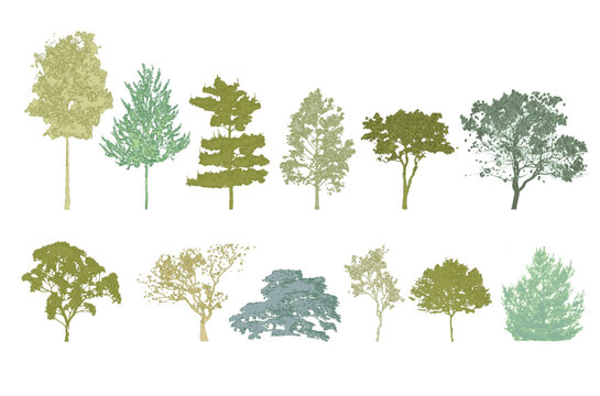 Minimal style cad tree line drawing, Side view, set of graphics trees elements outline symbol for architecture and landscape design drawing. Vector illustration in stroke fill in white. Tropical, stre