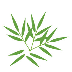 Bamboo leaf