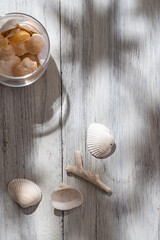 貝殻　テーブルフォト