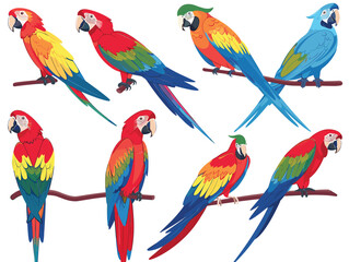 Colorful parrot illustrations, different poses, vibrant feathers. Tropical birds, exotic wildlife, scarlet macaw, blueandyellow macaw. Parrots perching, detailed plumage, cartoon style isolated