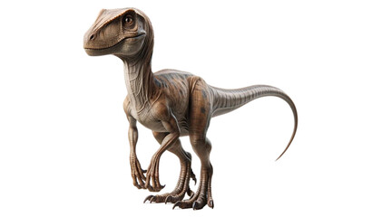 Fototapeta premium A realistic image of an isolated Velociraptor, a small, agile carnivorous dinosaur with sharp claws and a sleek body