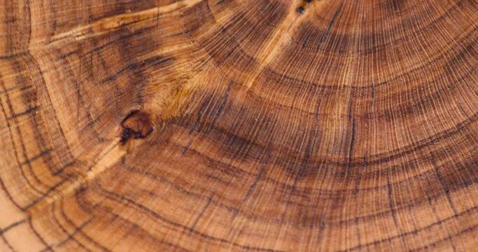 a beautiful cut of a walnut tree processed for decoration and use, a cut of a walnut tree with annual rings