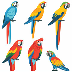 Brightly colored parrots perched, variety poses plumage colors. Vibrant tropical birds, details beaks feathers, wildlife illustration. Exotic parrots vector format, wildlife art isolated