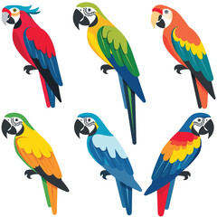 Set six colorful parrots, side view. Different species parrots vibrant feathers. Tropical birds illustration isolated white background