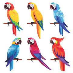 Six colorful parrots perched different poses, showcasing vibrant feathers reds, blues, yellows. Graphic style vector illustration tropical birds, ideal educational ornithological content. Brightly