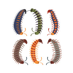 Colorful centipedes cartoon characters illustrated, centipede has stripes multiple legs. Centipedes appear circular formations, colors vary including blue, green, red, brown. Cartoon isolated white
