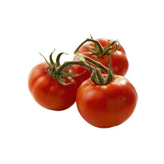 Three Tomatoes On The Vine Showcase, Isolated On Transparent Background, For Design And Printing