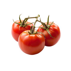 Three Tomatoes On The Vine Showcase, Isolated On Transparent Background, For Design And Printing