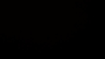 light transition effect