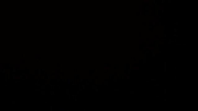 light transition effect