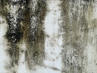 a photography of a dirty wall with a black and white paint.