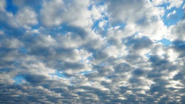 Altocumulus, middle-altitude cloud genus, stratocumuliform physical category, characterized by globular masses or rolls in layers or patches being larger and darker. Airmass instability.