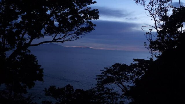 Night darkness, flying foxes, pteropus bats, natural habitat, island location
