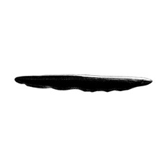 Electric Eel hand drawing vector isolated on background.	