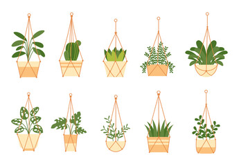 Hanging Plant Illustration Set