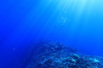 deep blue