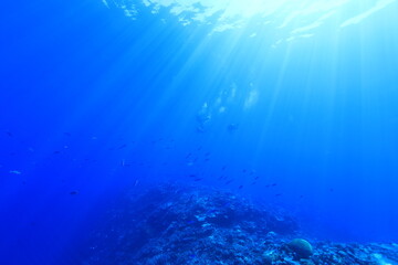 deep blue