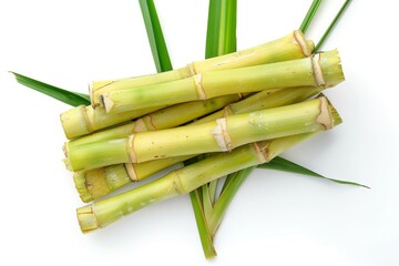 Fototapeta premium Flat lay of fresh sugar cane stalk isolated on white background