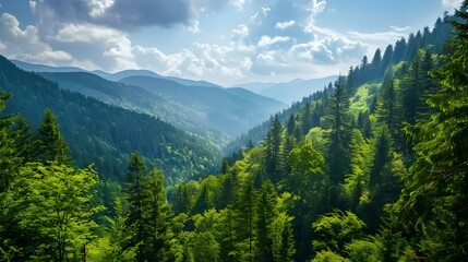 Fototapeta premium Scenic mountain landscape with lush green forests, sky and clound