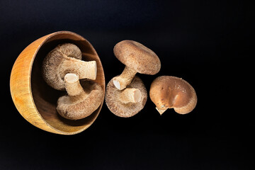 Fresh shiitake mushrooms in wooden bowl against black