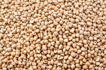 Fototapeta premium Close-up of Shelled Hazelnuts