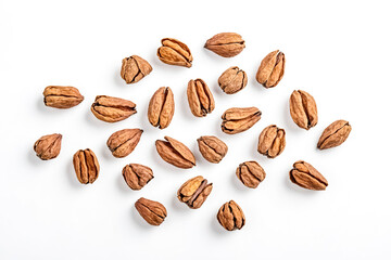 Obraz premium Dried Pecan Shells Isolated on White Background