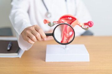 Doctor with Uterus and Ovaries anatomy model and magnifying glass. Ovarian and Cervical cancer,...