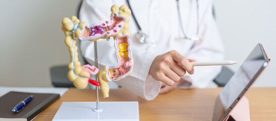 Doctor with human Colon anatomy model and tablet. Colonic disease, Large Intestine, Colorectal...