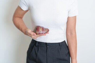 Woman holding human Liver anatomy model. Liver cancer and Tumor, Jaundice, Viral Hepatitis A, B, C,...